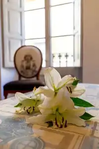 Art Boutique Chamarel - 109