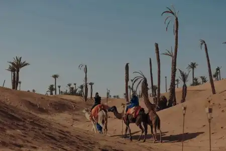 Palmeraie Oasis Camp - A Member Of Barcelo Group - 8