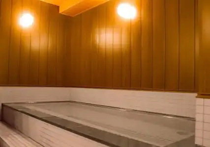 ANA Holiday Inn Iwate Kitakami by IHG - 15