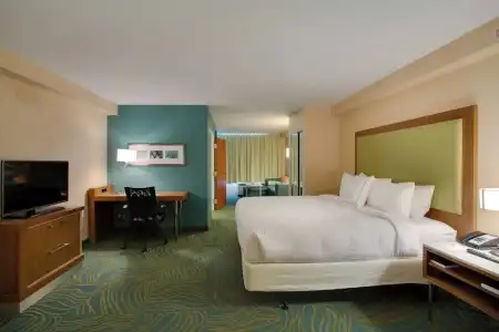 SpringHill Suites by Marriott Orlando Lake Buena Vista South - 36