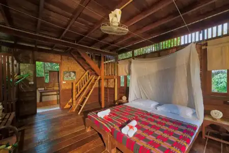 Our Jungle Camp - Eco Resort - 33