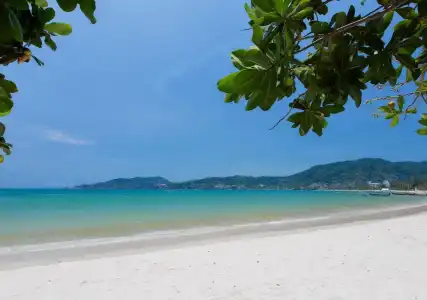 Destination Patong - 25