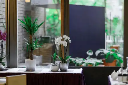 Bleibtreu Berlin by Golden Tulip - 19