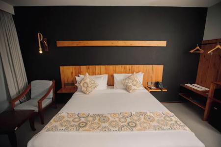 Giraffe Ocean View - 16
