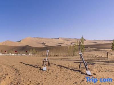 Leyou Self-driving Desert Camping Base - 5