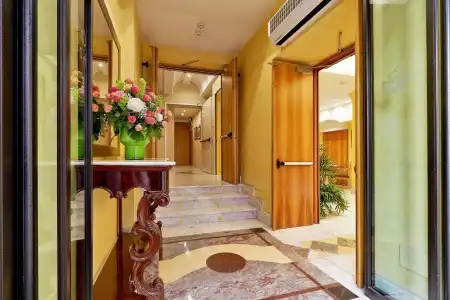 Сamelia - 2