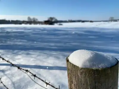 Bayernwinkel - 21