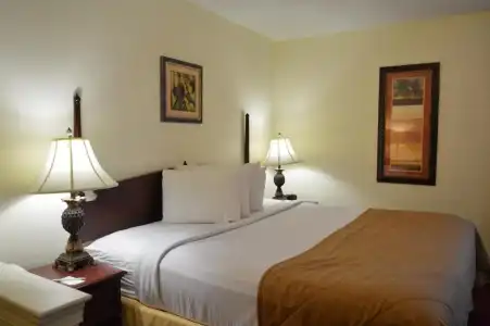 Opal & Suites - 53