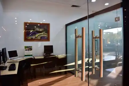 Guadalajara Plaza Expo Business Class - 18