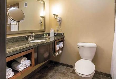 Holiday Inn & Suites Durango Downtown by IHG - 90