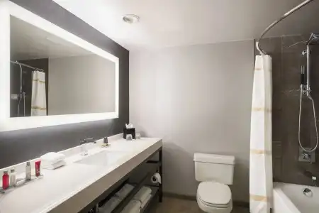 Courtyard by Marriott Chicago at Medical District / UIC - 42