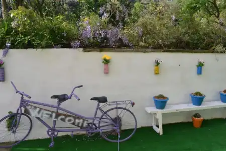 Sorrento Experience - 7