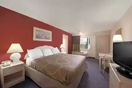 Super 8 By Wyndham Clearwater/Us Hwy 19 N - 16