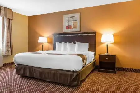 Quality Inn & Suites Bloomington University Area - 39