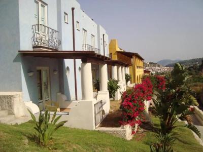 Bougainville - 11
