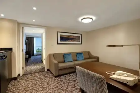 Hyatt Regency Niagara Falls Fallsview - 46