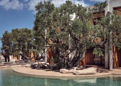 Olea All Suite, a Member of Designs - 37