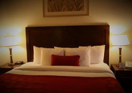 Ramada Denver International Airport - 20