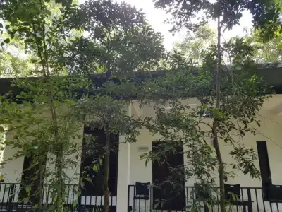 Green House - 49