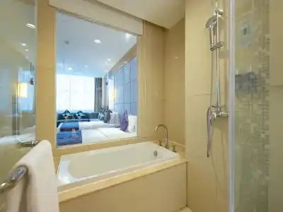 Dorsett Wuhan - 105