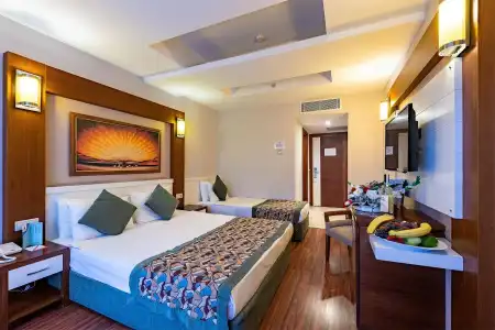 Viking Star - 8