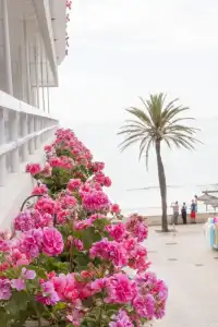 Voramar Mallorca - 87