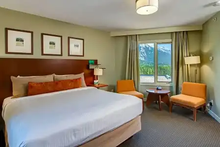The Juniper - 105