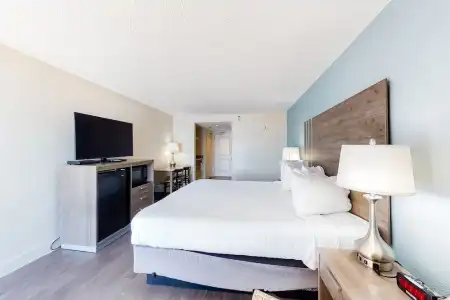 Carolinian Beach Resort by Vacasa - 481