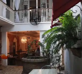Mosquito Boutique Zona Colonial - 25