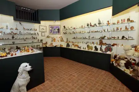 Kinugawa Kokusai - 21