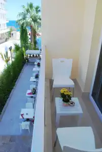 Palm Beach - 13