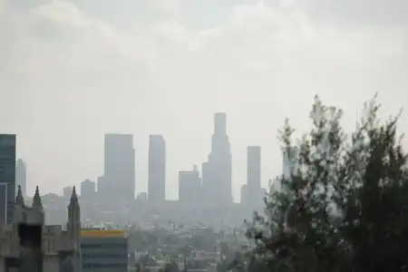 Hollywood Hills - 91