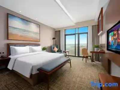 Ausotel Smart Guangzhou Baiyun International Airport Terminal - 40