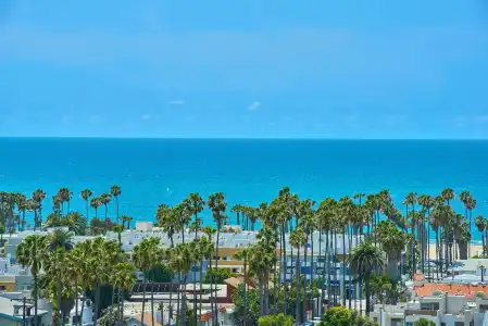 Hyatt Centric Delfina Santa Monica - 29
