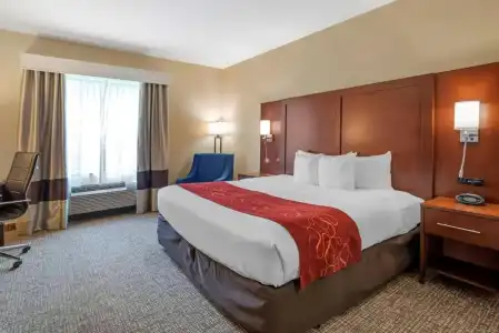 Comfort Suites Fredericksburg North - 58