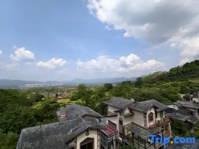 Tranquil Shores Holiday Apartments - 377