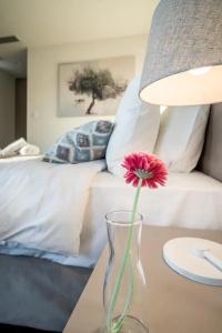 Urban Nest - Suites & Apartments - 35