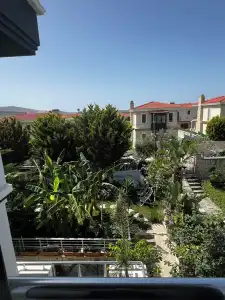 Lupa Alacati - 20