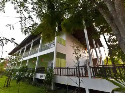 Tree House - 15