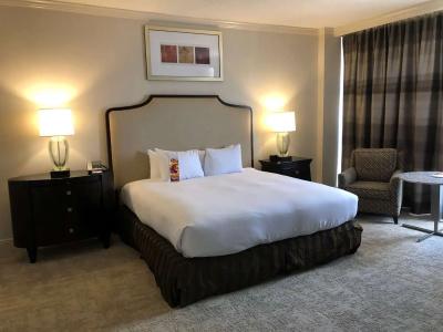 Hilton Houston Post Oak by the Galleria - 29