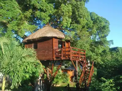 Tree Lodge Mauritius - 6
