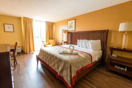 B&B Orlando International Drive Near Universal - Newly Renovated! - 122