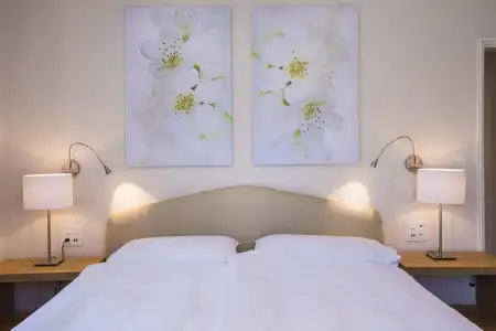 ParkDelta Wellbeing Resort Ascona - 4