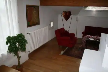 Chartreuse - 13
