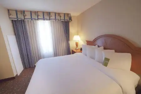 Hilton Garden Inn Albuquerque / Journal Center - 5