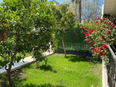Premium park apart - 17