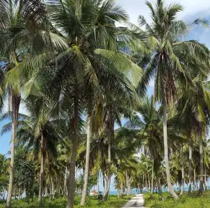 Ban Thanyanan Resort - 14