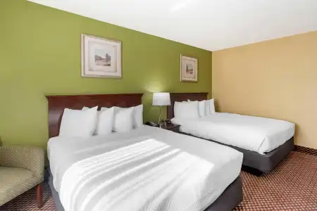 Quality Inn & Suites Bloomington University Area - 2