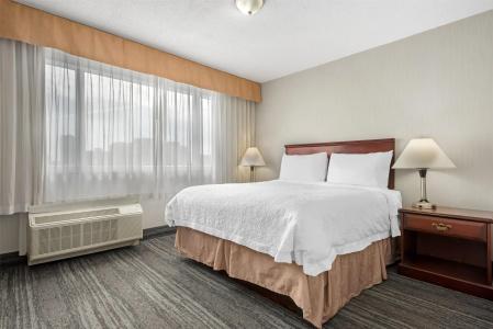 Best Western Plus Suites Downtown - 6
