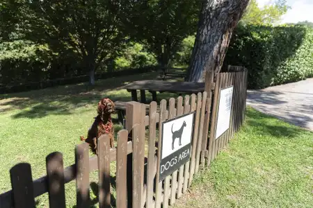 Horizon Wellness & Spa Resort - 28